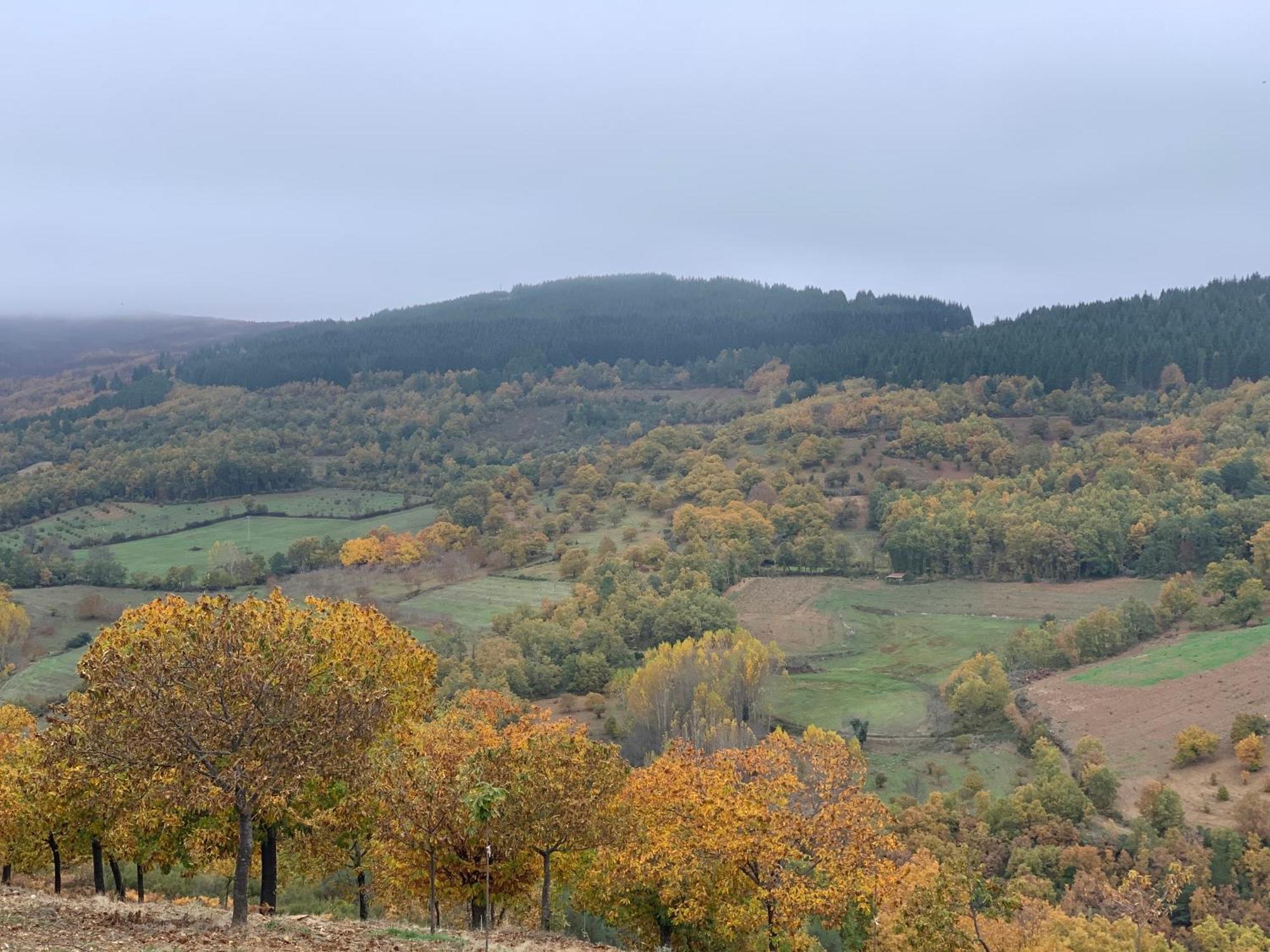 Casa Do Souto - Nature & Experiences - Turismo Rural Браганса Экстерьер фото